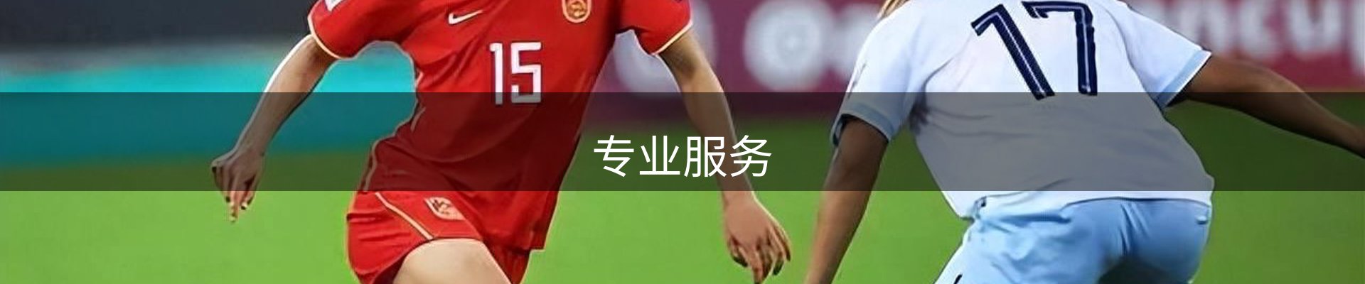 专业服务